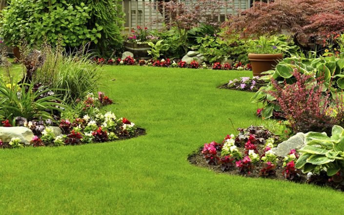 Harrogate Garden Maintenance