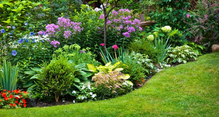 Harrogate Gardening Services