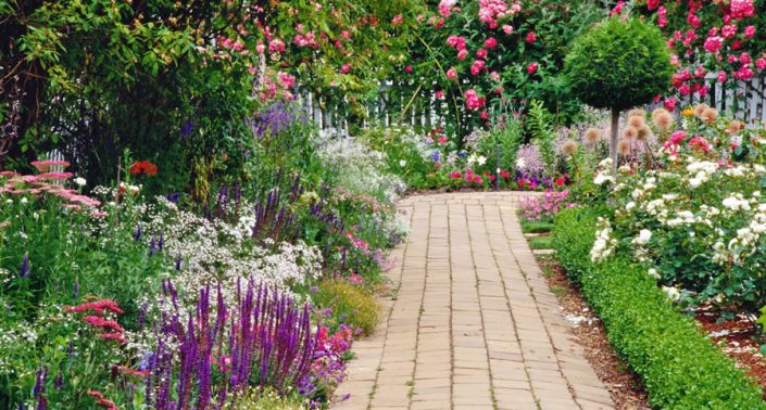 Harrogate Gardening Services